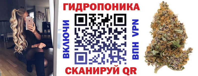 где можно купить наркотик Чёрмоз Бошки марихуана сатива